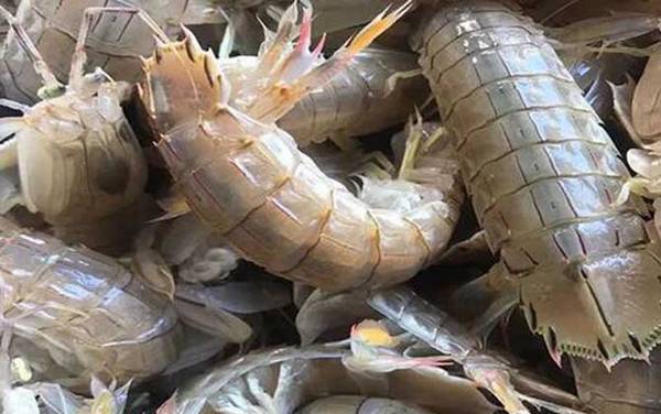 皮皮虾蒸几分钟最好?