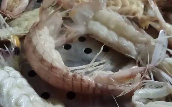 皮皮虾蒸几分钟最好?