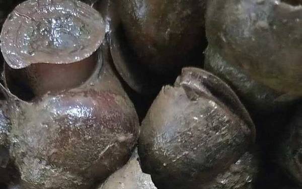 孕妇可以吃田螺吗?