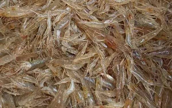 虾煮几分钟就熟了?