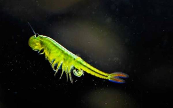 ����Ϻ��ʲô���