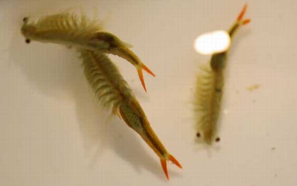 ����Ϻ��ʲô���