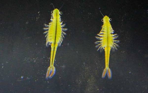 ����Ϻ��ʲô���