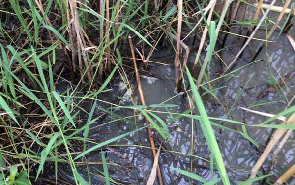 ����ͻ�����һ������