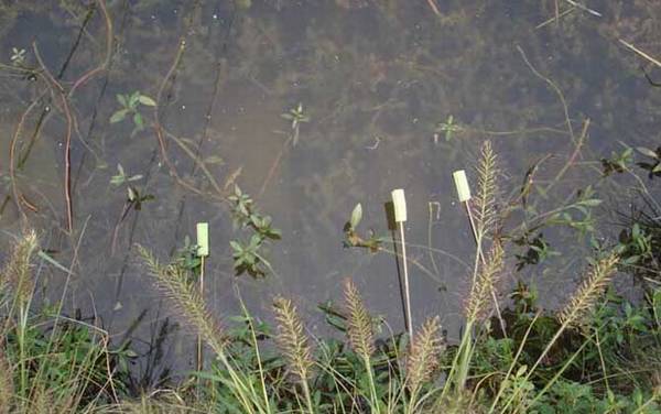 ������ʲô�㣿