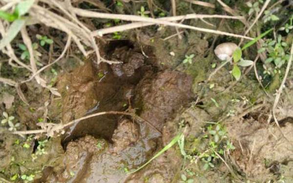 ������ʲô�㣿