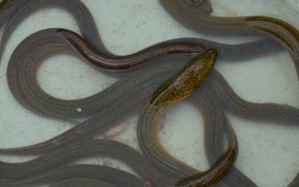 ����ͻ�����һ������