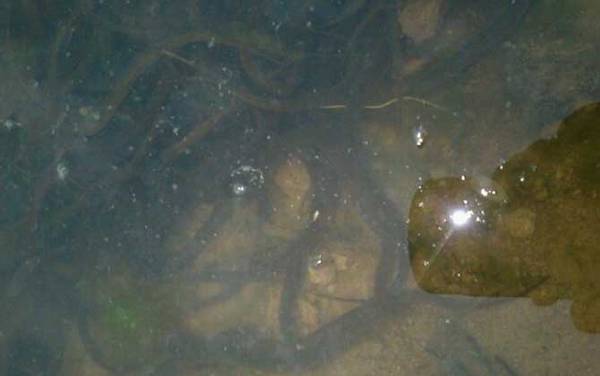 ������ֳ������ע������