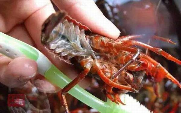 小龙虾怎么清洗和处理?