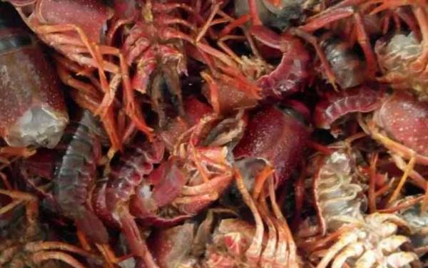 小龙虾怎么清洗和处理?