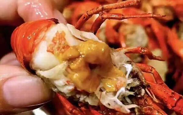 小龙虾头部里的黄是什么?
