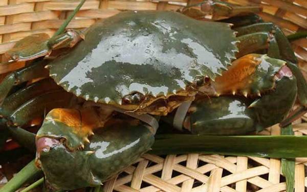 �з�۸����Ǯһֻ��