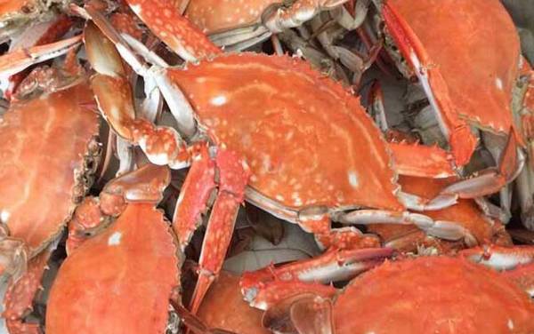 螃蟹不能和什么一起吃?