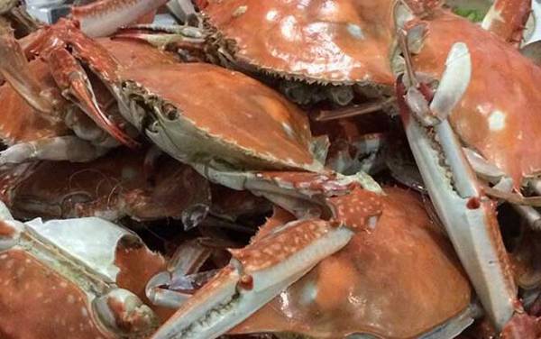 螃蟹不能和什么一起吃?