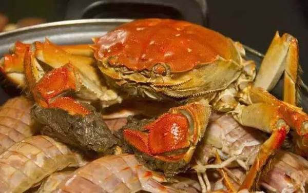 螃蟹和牛奶能一起吃吗?