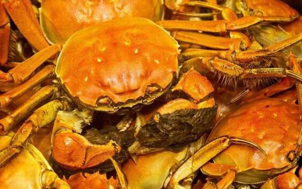 螃蟹和牛奶能一起吃吗?