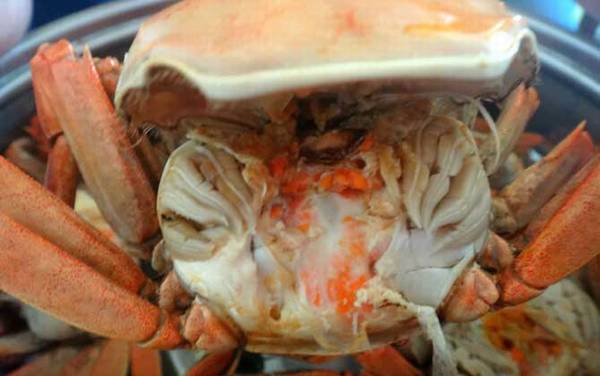 柿子和螃蟹能一起吃吗?