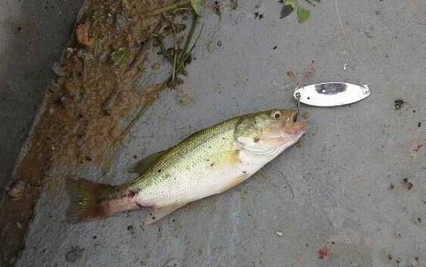 ��ˮ������ʲô�㣿