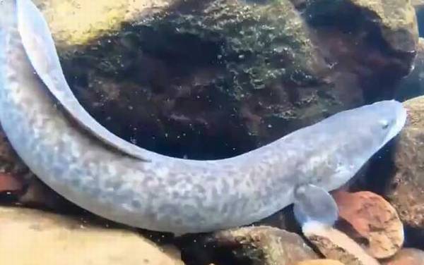 ������ʲô�㣿