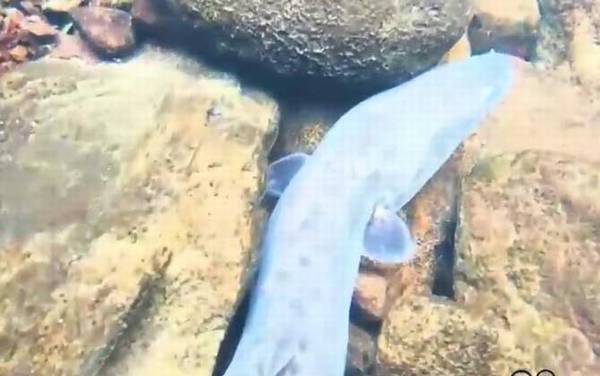 ������ʲô�㣿