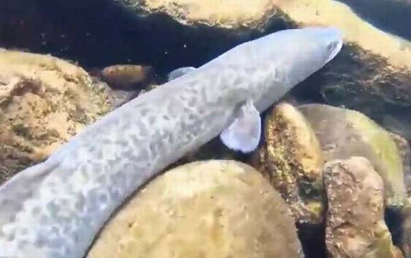 ������ʲô�㣿