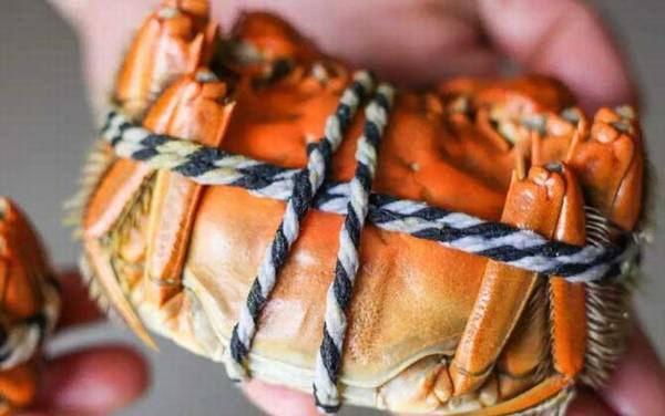 哺乳期可以吃螃蟹吗?