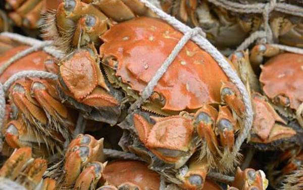 吃完螃蟹不能吃什么?