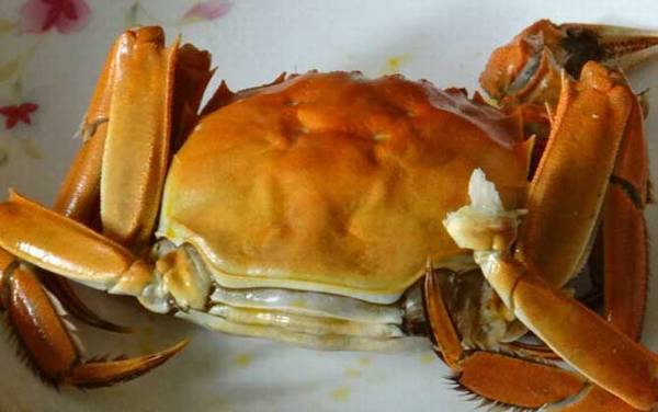 吃完螃蟹不能吃什么?