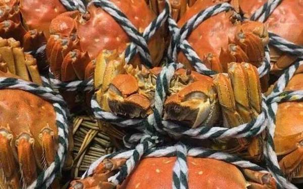 吃完螃蟹不能吃什么?