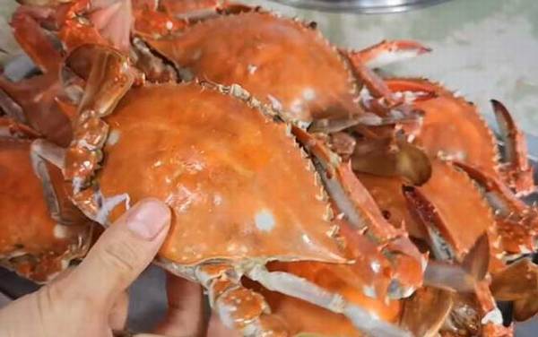 螃蟹蒸多长时间最好吃?