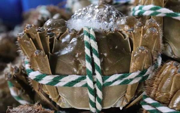 24小时之内死了的螃蟹能吃吗?