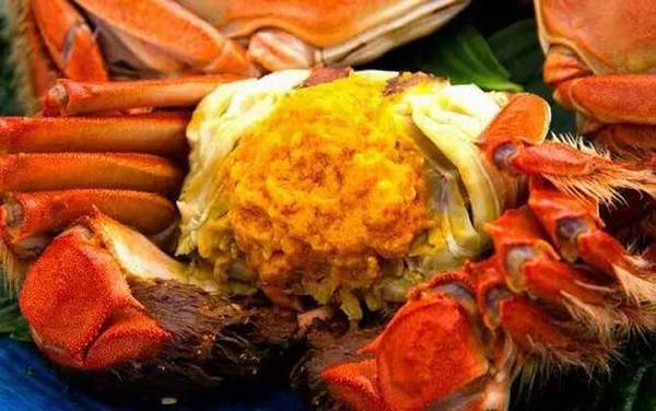 吃螃蟹可以喝牛奶吗?