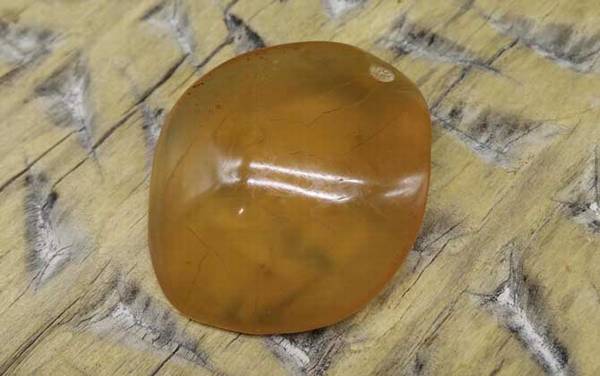 青鱼石在鱼的什么部位?