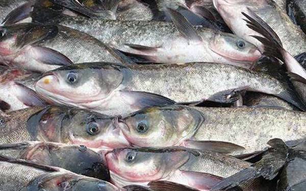 ����ô��ƴ����ôд��