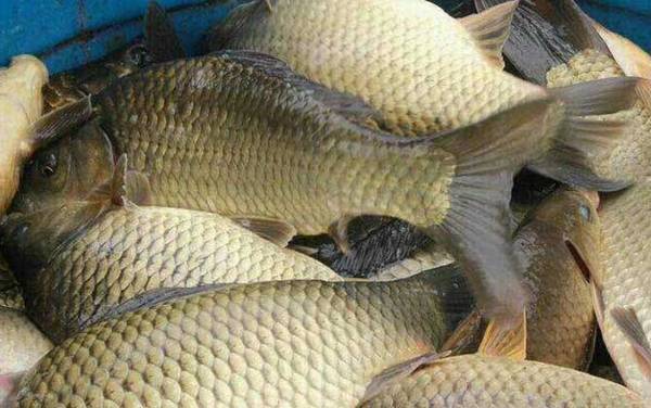 �ƽ�������ʲô�㣿