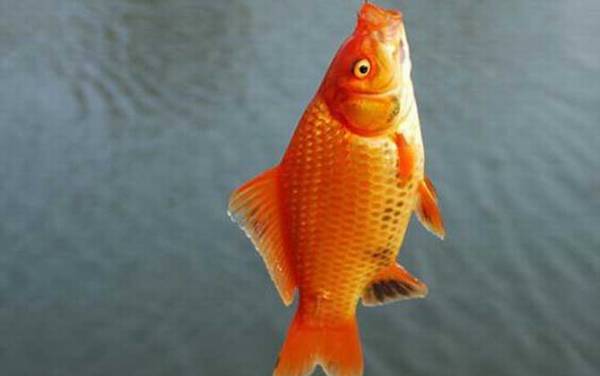 �������ʲô������