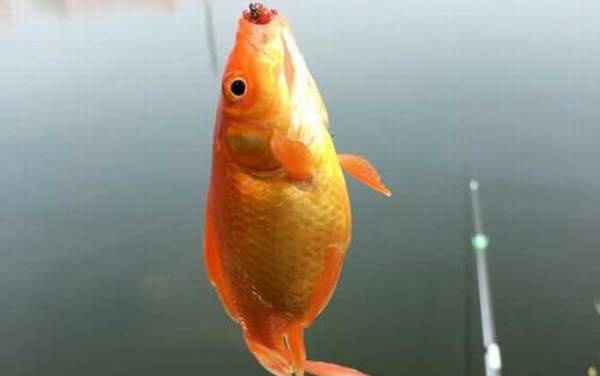 �������ʲô������