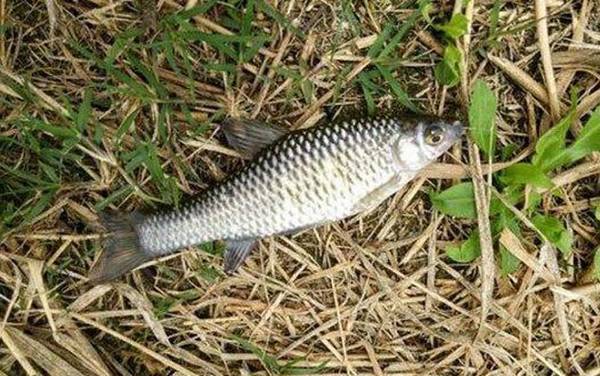 Ϊʲô�����㲻�ܷ�����