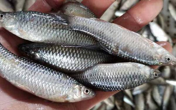 Ϊʲô�����㲻�ܷ�����