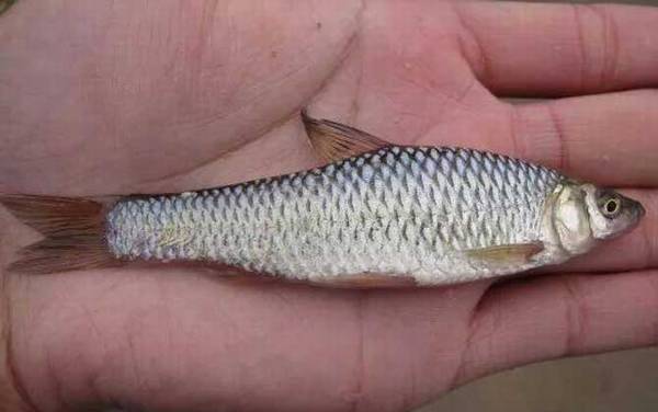 ��������Ѷ೤ʱ�����������