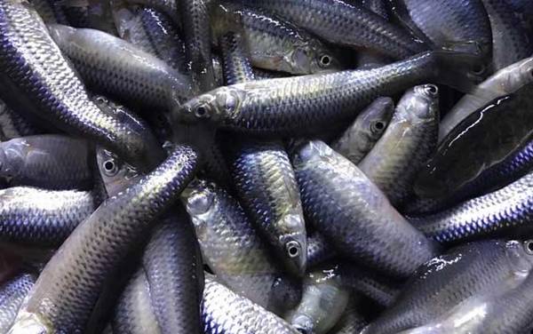 ��������Ѷ೤ʱ�����������