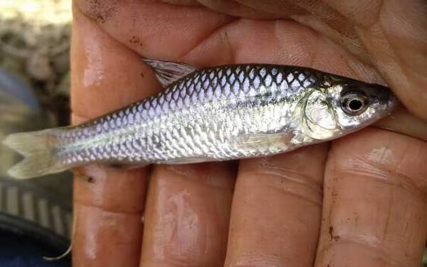 ������ʲôʱ����ѣ�