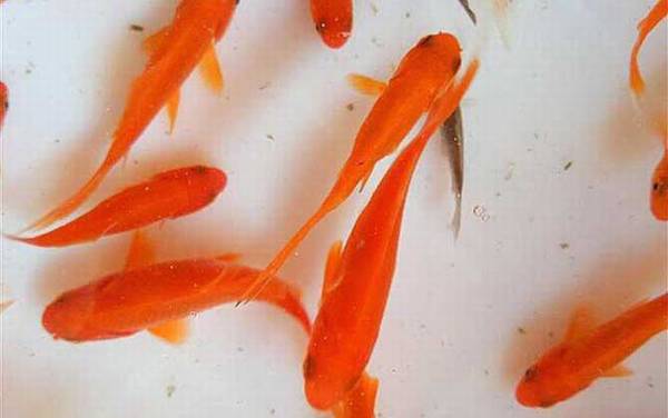 ����ͽ�����ʲô����