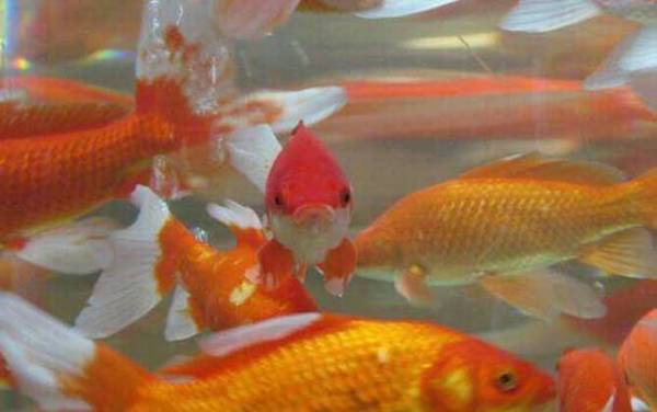 ����ͽ�����ʲô����