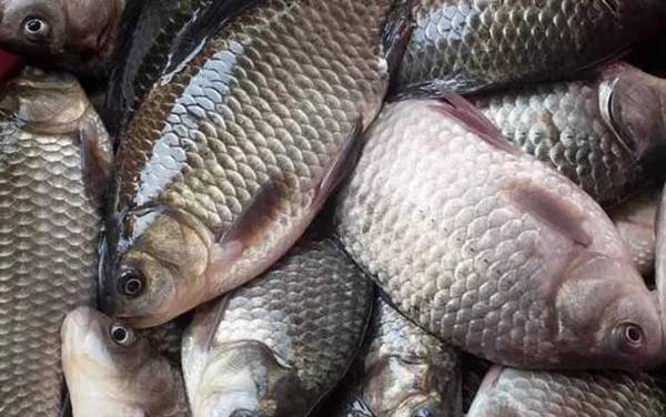 ������ʲô�㣿