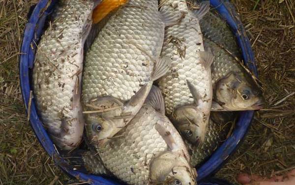 �����Ϊʲô�д���ꣿ