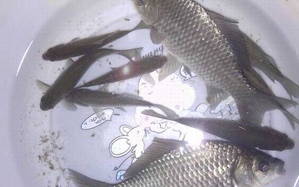 �����Ϊʲô�д���ꣿ