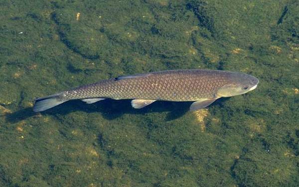 �Ĵ�������������㣿