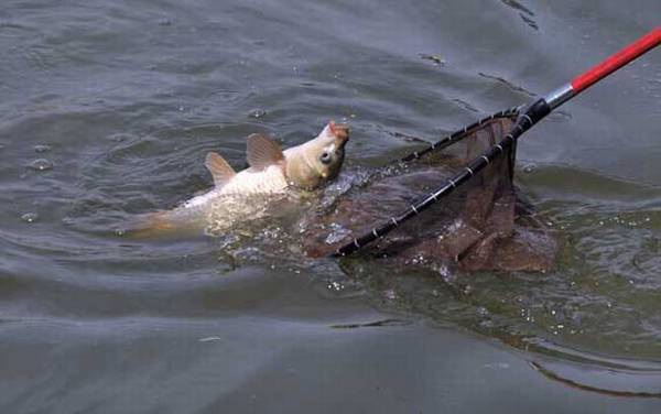 ����Ծ������ʲô��˼��