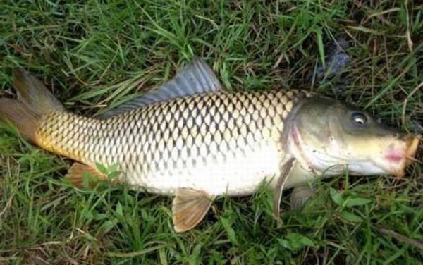 Ϊʲô����˵���㲻�ܳԣ�